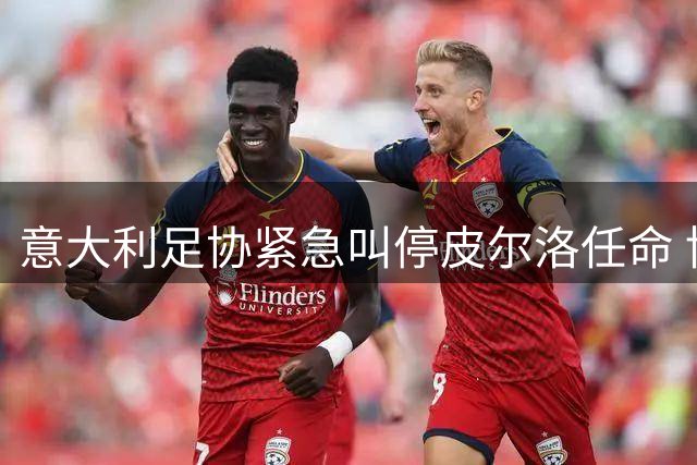 意大利足协紧急叫停皮尔洛任命 博彩代言风波引发政坛震动
